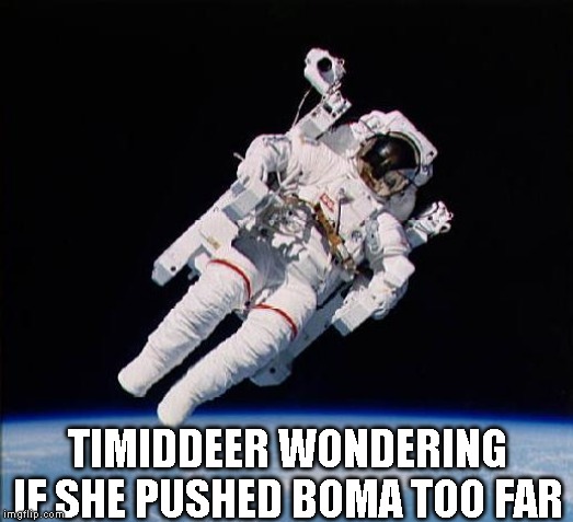 Astronaut | TIMIDDEER WONDERING IF SHE PUSHED BOMA TOO FAR | image tagged in astronaut | made w/ Imgflip meme maker