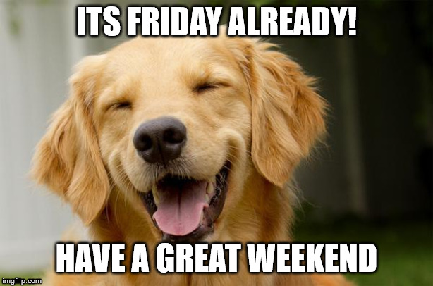 Happy Dog | ITS FRIDAY ALREADY! HAVE A GREAT WEEKEND | image tagged in happy dog | made w/ Imgflip meme maker