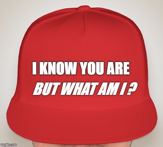 Make America ten again. | BUT WHAT AM I ? I KNOW YOU ARE | image tagged in trump hat | made w/ Imgflip meme maker