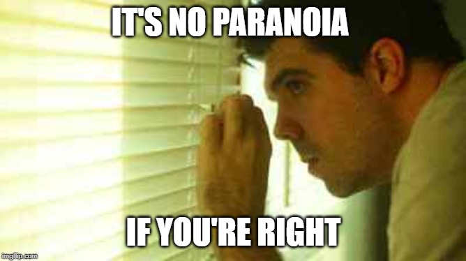 Paranoid guy  | IT'S NO PARANOIA; IF YOU'RE RIGHT | image tagged in paranoid guy | made w/ Imgflip meme maker