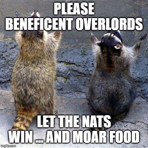 Praying Raccoons | PLEASE BENEFICENT OVERLORDS; LET THE NATS WIN ... AND MOAR FOOD | image tagged in praying raccoons | made w/ Imgflip meme maker