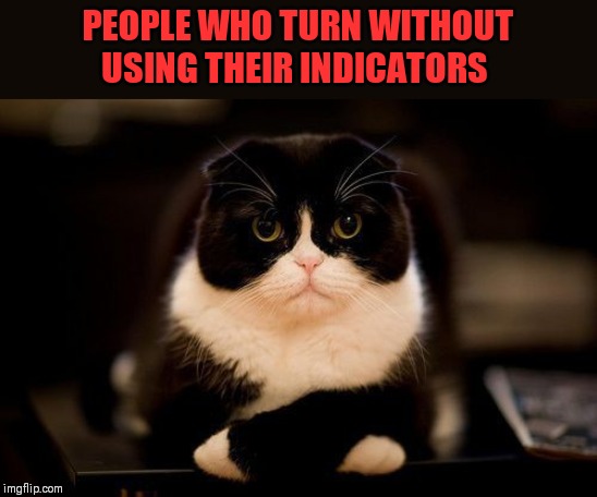 PEOPLE WHO TURN WITHOUT USING THEIR INDICATORS | made w/ Imgflip meme maker