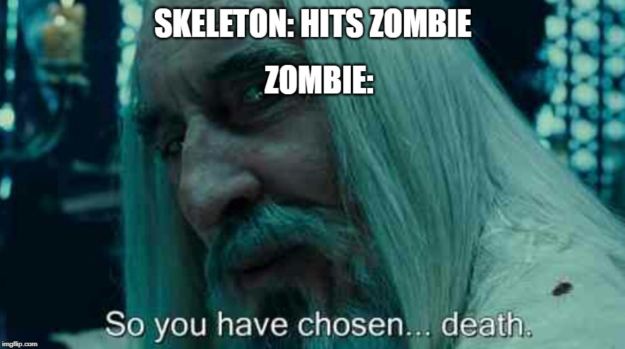 So you have chosen death | SKELETON: HITS ZOMBIE; ZOMBIE: | image tagged in so you have chosen death | made w/ Imgflip meme maker