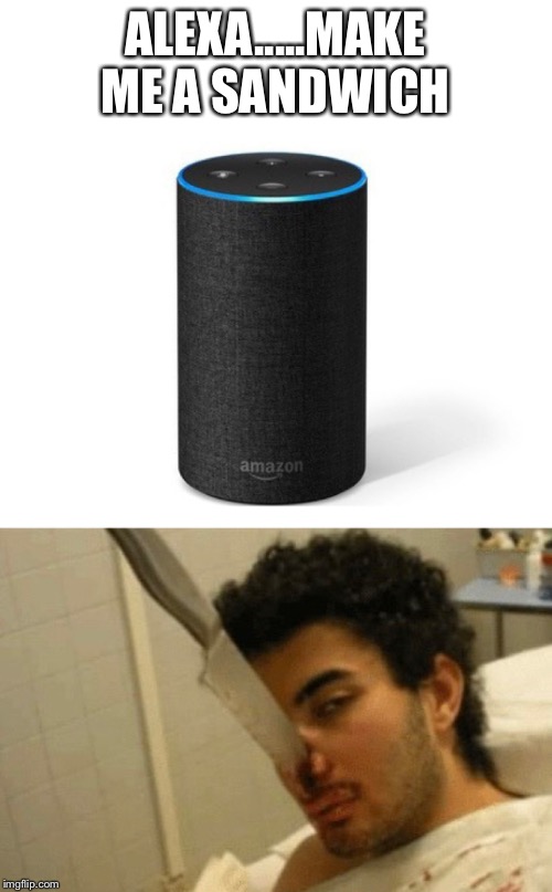 Alexa | ALEXA.....MAKE ME A SANDWICH | image tagged in sandwich | made w/ Imgflip meme maker