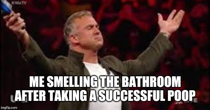  ME SMELLING THE BATHROOM AFTER TAKING A SUCCESSFUL POOP | image tagged in wwe,shane mcmahon,poop,bathroom | made w/ Imgflip meme maker