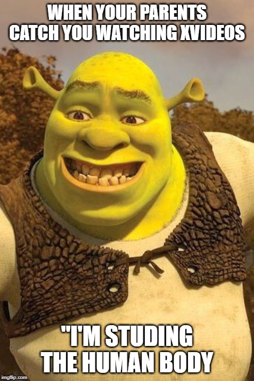 Smiling Shrek |  WHEN YOUR PARENTS CATCH YOU WATCHING XVIDEOS; "I'M STUDING THE HUMAN BODY | image tagged in smiling shrek | made w/ Imgflip meme maker