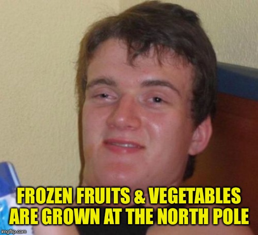 10 Guy Logic | FROZEN FRUITS & VEGETABLES ARE GROWN AT THE NORTH POLE | image tagged in memes,10 guy | made w/ Imgflip meme maker