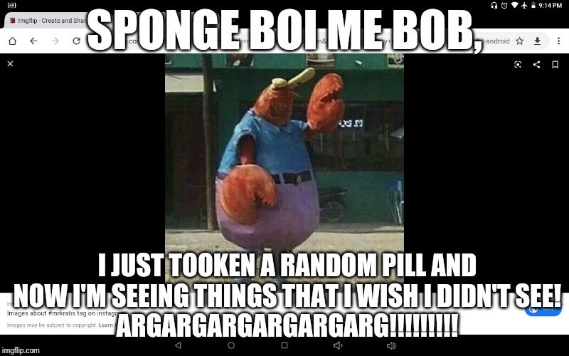 Pls Don't Do Drugs Kids | SPONGE BOI ME BOB, I JUST TOOKEN A RANDOM PILL AND NOW I'M SEEING THINGS THAT I WISH I DIDN'T SEE!
ARGARGARGARGARGARG!!!!!!!!! | image tagged in wtf is wrong with mr krabs | made w/ Imgflip meme maker