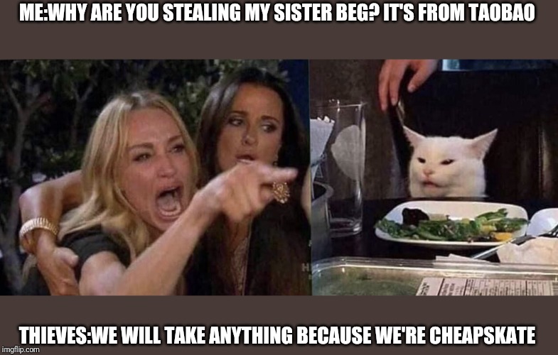 woman yelling at cat | ME:WHY ARE YOU STEALING MY SISTER BEG? IT'S FROM TAOBAO; THIEVES:WE WILL TAKE ANYTHING BECAUSE WE'RE CHEAPSKATE | image tagged in woman yelling at cat | made w/ Imgflip meme maker
