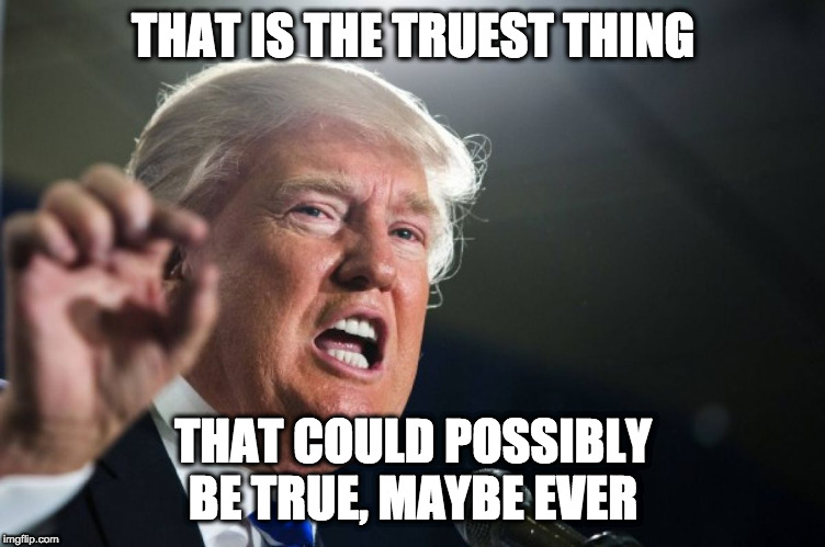 donald trump | THAT IS THE TRUEST THING THAT COULD POSSIBLY BE TRUE, MAYBE EVER | image tagged in donald trump | made w/ Imgflip meme maker