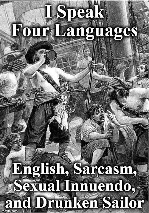 saailor | I Speak Four Languages; English, Sarcasm, Sexual Innuendo, and Drunken Sailor | image tagged in saailor | made w/ Imgflip meme maker