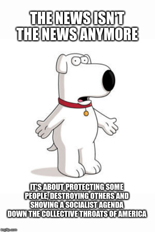 Family Guy Brian | THE NEWS ISN'T THE NEWS ANYMORE; IT'S ABOUT PROTECTING SOME PEOPLE, DESTROYING OTHERS AND SHOVING A SOCIALIST AGENDA DOWN THE COLLECTIVE THROATS OF AMERICA | image tagged in memes,family guy brian,fake news,msm lies,cnn fake news | made w/ Imgflip meme maker