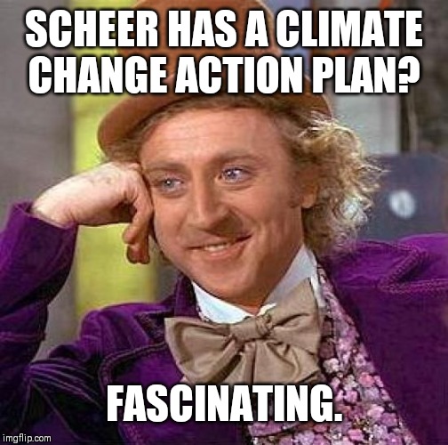 Creepy Condescending Wonka Meme | SCHEER HAS A CLIMATE CHANGE ACTION PLAN? FASCINATING. | image tagged in memes,creepy condescending wonka | made w/ Imgflip meme maker
