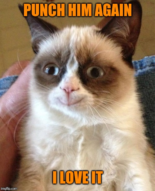 Grumpy Cat Happy Meme | PUNCH HIM AGAIN I LOVE IT | image tagged in memes,grumpy cat happy,grumpy cat | made w/ Imgflip meme maker