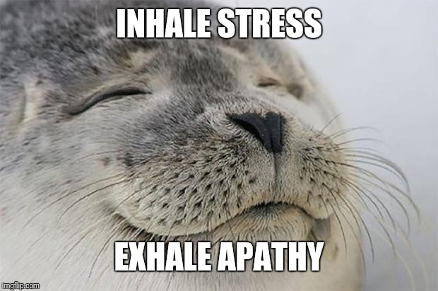 Satisfied Seal Meme | INHALE STRESS; EXHALE APATHY | image tagged in memes,satisfied seal | made w/ Imgflip meme maker