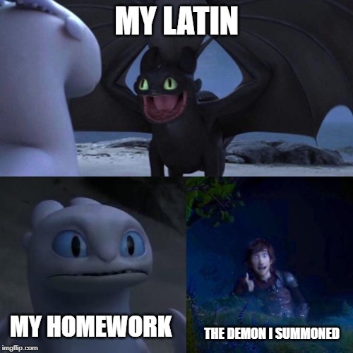 good job kid | MY LATIN; MY HOMEWORK; THE DEMON I SUMMONED | image tagged in toothless impressing light fury,hiccup,toothless,how to train your dragon | made w/ Imgflip meme maker