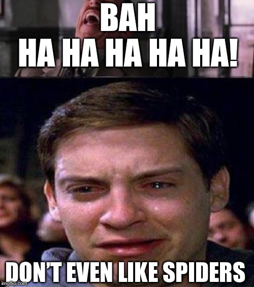 BAH
HA HA HA HA HA! DON’T EVEN LIKE SPIDERS | made w/ Imgflip meme maker