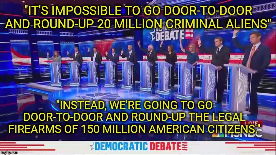 democratic debate 2020 | "IT'S IMPOSSIBLE TO GO DOOR-TO-DOOR AND ROUND-UP 20 MILLION CRIMINAL ALIENS"; "INSTEAD, WE'RE GOING TO GO DOOR-TO-DOOR AND ROUND-UP THE LEGAL FIREARMS OF 150 MILLION AMERICAN CITIZENS." | image tagged in democratic debate 2020 | made w/ Imgflip meme maker