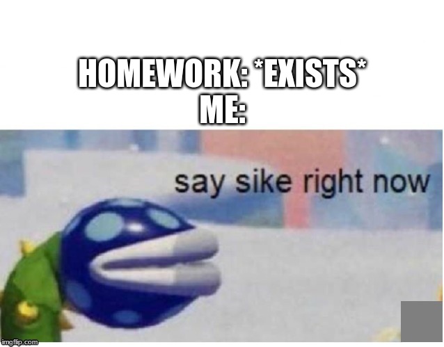say sike right now | HOMEWORK: *EXISTS*
ME: | image tagged in say sike right now | made w/ Imgflip meme maker