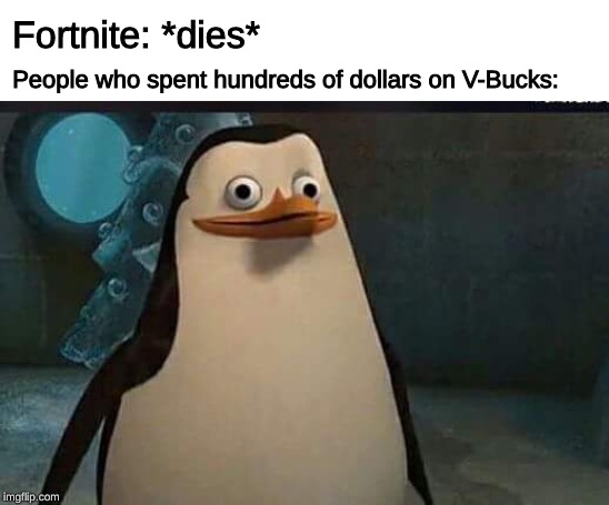 Madagascar penguin | Fortnite: *dies*; People who spent hundreds of dollars on V-Bucks: | image tagged in madagascar penguin,memes,fortnite | made w/ Imgflip meme maker