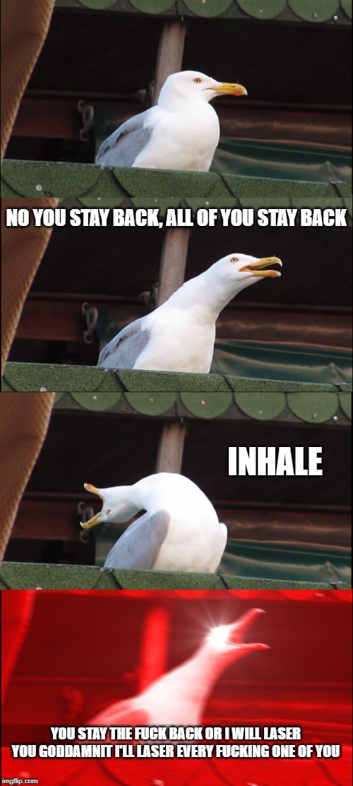 Inhaling Seagull Meme | NO YOU STAY BACK, ALL OF YOU STAY BACK; INHALE; YOU STAY THE FUCK BACK OR I WILL LASER YOU GODDAMNIT I'LL LASER EVERY FUCKING ONE OF YOU | image tagged in memes,inhaling seagull,TheBoys | made w/ Imgflip meme maker