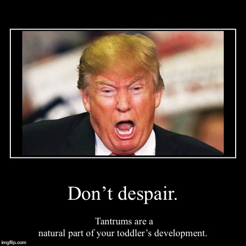 Childhood development | image tagged in funny,demotivationals,trump,angry toddler,trump tantrum | made w/ Imgflip demotivational maker