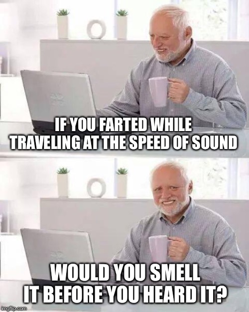 If everyone in an airplane farted at the same time, would all those on the ground think it was thunder...? | IF YOU FARTED WHILE TRAVELING AT THE SPEED OF SOUND; WOULD YOU SMELL IT BEFORE YOU HEARD IT? | image tagged in memes,hide the pain harold | made w/ Imgflip meme maker