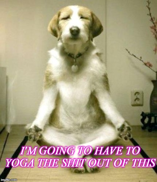 Inner Peace Dog | I'M GOING TO HAVE TO YOGA THE SHIT OUT OF THIS | image tagged in inner peace dog | made w/ Imgflip meme maker