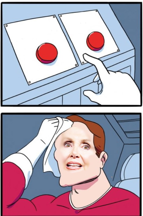 High Quality Pelosi Choice Blank Meme Template