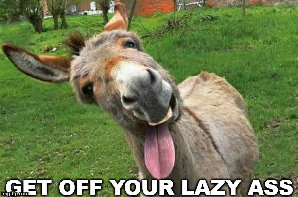 Laughing Donkey | GET OFF YOUR LAZY ASS | image tagged in laughing donkey | made w/ Imgflip meme maker