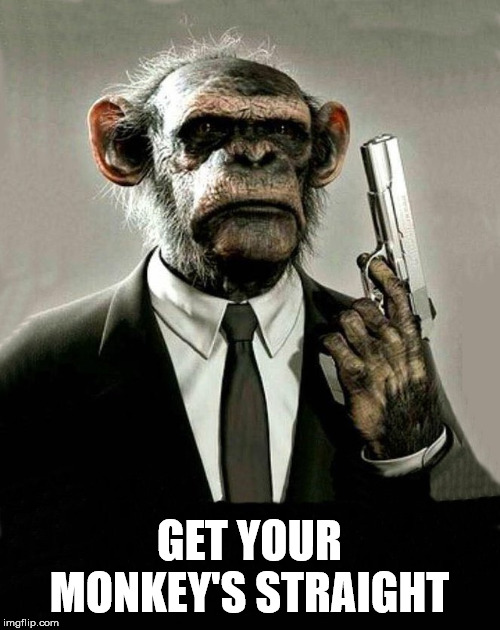 GET YOUR MONKEY'S STRAIGHT | image tagged in monkey memes | made w/ Imgflip meme maker
