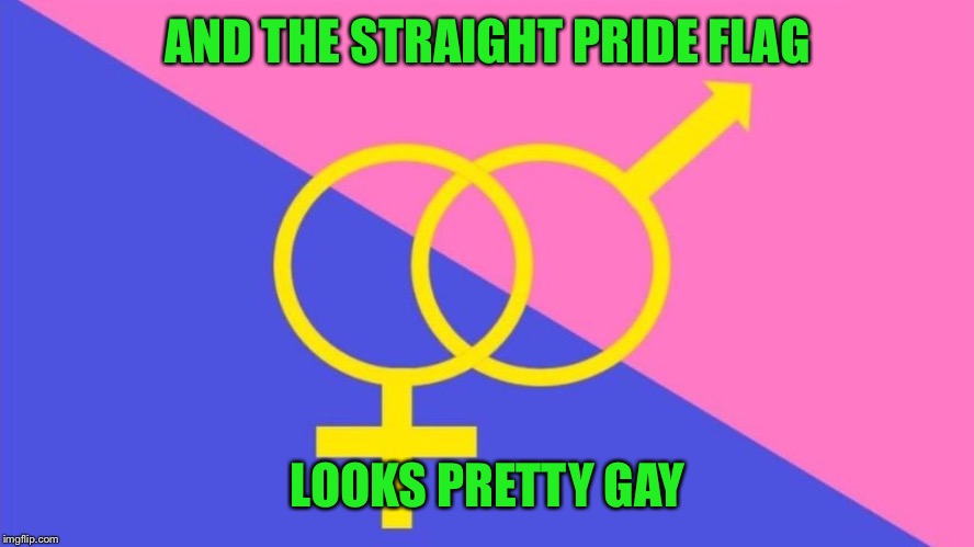 AND THE STRAIGHT PRIDE FLAG LOOKS PRETTY GAY | made w/ Imgflip meme maker