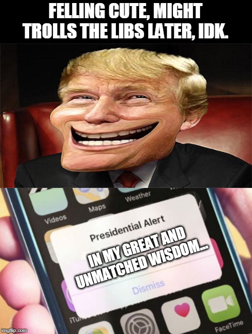The Great and Powers Trump has spoken. | FELLING CUTE, MIGHT TROLLS THE LIBS LATER, IDK. IN MY GREAT AND UNMATCHED WISDOM... | image tagged in trump troll face,memes,presidential alert | made w/ Imgflip meme maker