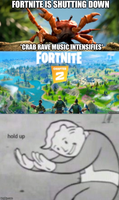 FORTNITE IS SHUTTING DOWN; *CRAB RAVE MUSIC INTENSIFIES* | image tagged in crab rave crab | made w/ Imgflip meme maker