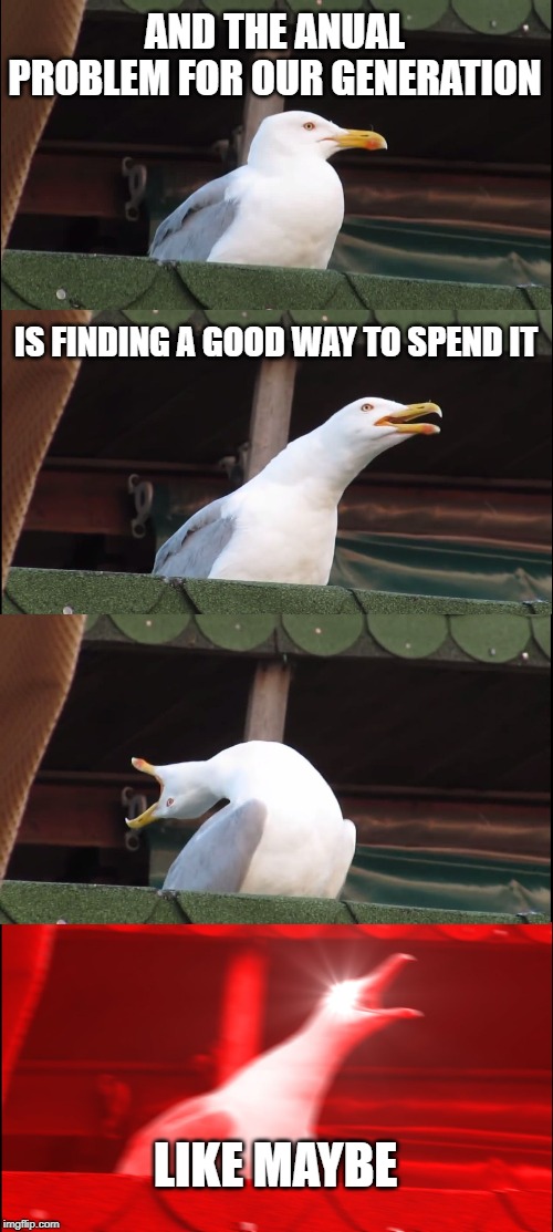 Inhaling Seagull | AND THE ANUAL PROBLEM FOR OUR GENERATION; IS FINDING A GOOD WAY TO SPEND IT; LIKE MAYBE | image tagged in memes,inhaling seagull | made w/ Imgflip meme maker