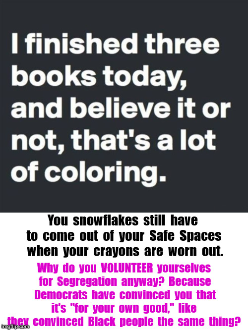 SegregationIsNotGoodForYou | You  snowflakes  still  have  to  come  out  of  your  Safe  Spaces  when  your  crayons  are  worn  out. Why  do  you  VOLUNTEER  yourselves  for  Segregation  anyway?  Because  Democrats  have  convinced  you  that  it's  "for  your  own  good,"  like  they  convinced  Black  people  the  same  thing? | image tagged in political meme,segregation | made w/ Imgflip meme maker