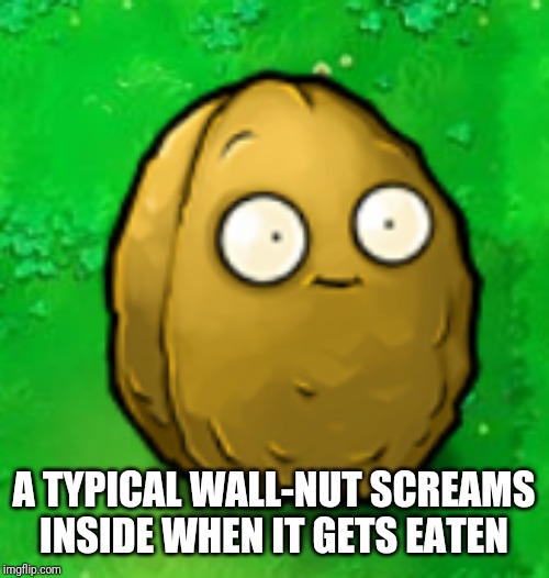 Wall-Nut | A TYPICAL WALL-NUT SCREAMS INSIDE WHEN IT GETS EATEN | image tagged in wall-nut,pvz,plants vs zombies,memes | made w/ Imgflip meme maker