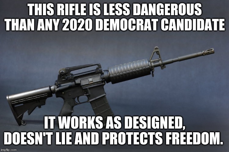 Adopt homeless rifles | THIS RIFLE IS LESS DANGEROUS THAN ANY 2020 DEMOCRAT CANDIDATE; IT WORKS AS DESIGNED, DOESN'T LIE AND PROTECTS FREEDOM. | image tagged in ar-15,adopt homeless rifles,protect freedom,democrats the hate party,2nd amendment,ban democrats | made w/ Imgflip meme maker