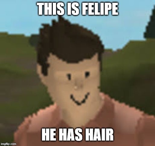 Roblox Anthro | THIS IS FELIPE; HE HAS HAIR | image tagged in roblox anthro | made w/ Imgflip meme maker