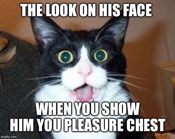 Holy Shit are you Sexy. | THE LOOK ON HIS FACE; WHEN YOU SHOW HIM YOU PLEASURE CHEST | image tagged in holy shit are you sexy | made w/ Imgflip meme maker