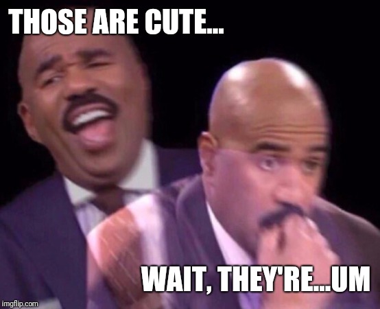 Steve Harvey Laughing Serious | THOSE ARE CUTE... WAIT, THEY'RE...UM | image tagged in steve harvey laughing serious | made w/ Imgflip meme maker