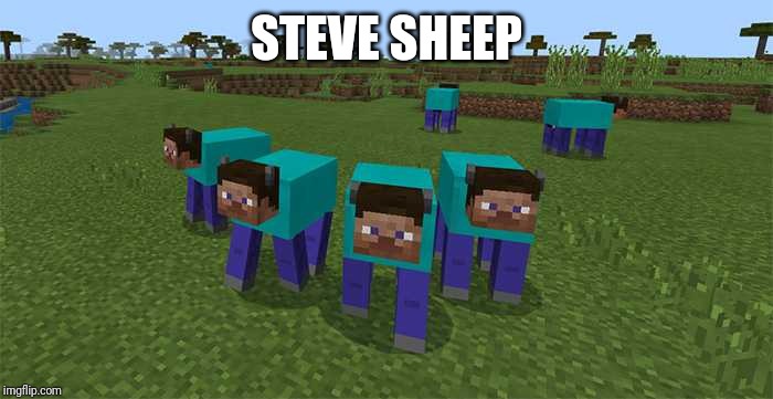 me and the boys | STEVE SHEEP | image tagged in me and the boys | made w/ Imgflip meme maker
