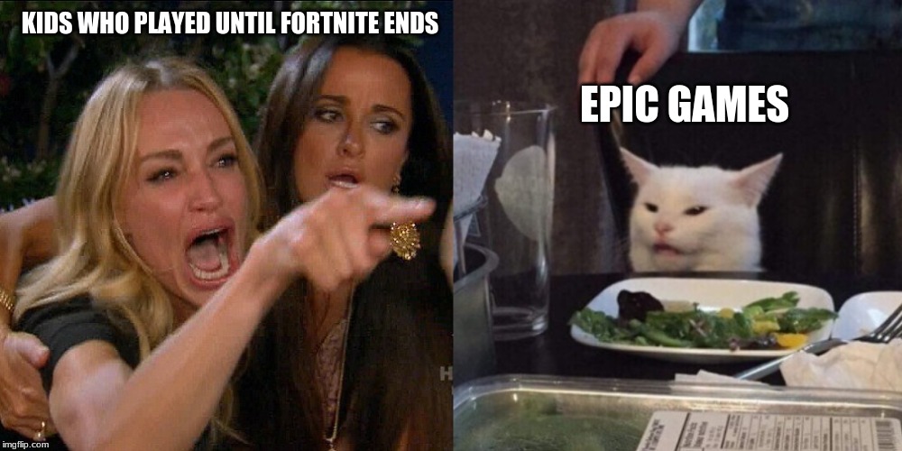 Woman yelling at cat | KIDS WHO PLAYED UNTIL FORTNITE ENDS; EPIC GAMES | image tagged in woman yelling at cat | made w/ Imgflip meme maker