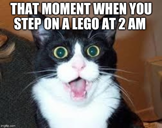 Holy Shit are you Sexy. | THAT MOMENT WHEN YOU STEP ON A LEGO AT 2 AM | image tagged in holy shit are you sexy | made w/ Imgflip meme maker