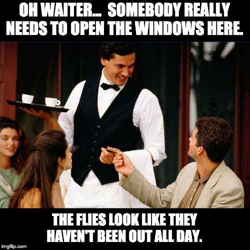 waiter | OH WAITER...  SOMEBODY REALLY NEEDS TO OPEN THE WINDOWS HERE. THE FLIES LOOK LIKE THEY HAVEN'T BEEN OUT ALL DAY. | image tagged in waiter | made w/ Imgflip meme maker