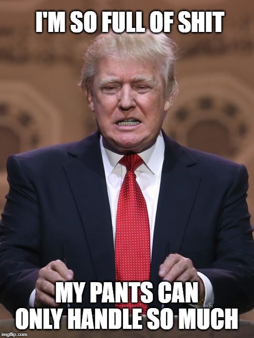 Donald Trump | I'M SO FULL OF SHIT; MY PANTS CAN ONLY HANDLE SO MUCH | image tagged in donald trump | made w/ Imgflip meme maker