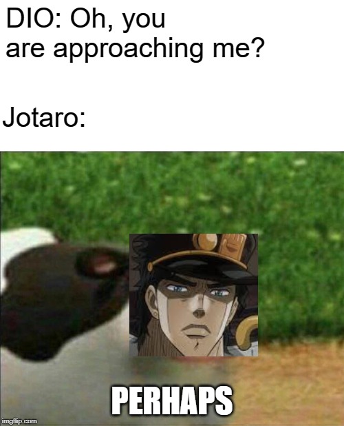Perhaps cow | DIO: Oh, you are approaching me? Jotaro:; PERHAPS | image tagged in perhaps cow | made w/ Imgflip meme maker