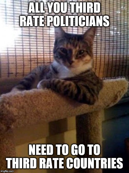 The Most Interesting Cat In The World Meme | ALL YOU THIRD RATE POLITICIANS; NEED TO GO TO THIRD RATE COUNTRIES | image tagged in memes,the most interesting cat in the world,funny memes | made w/ Imgflip meme maker