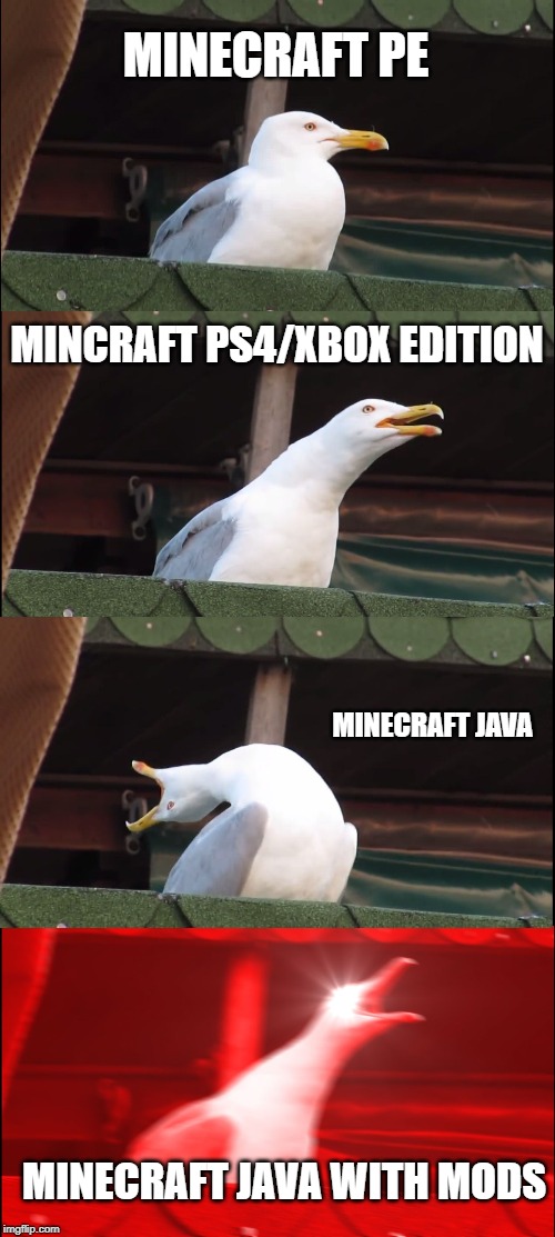 Inhaling Seagull | MINECRAFT PE; MINCRAFT PS4/XBOX EDITION; MINECRAFT JAVA; MINECRAFT JAVA WITH MODS | image tagged in memes,inhaling seagull | made w/ Imgflip meme maker