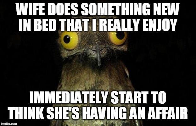 Weird Stuff I Do Potoo Meme | WIFE DOES SOMETHING NEW IN BED THAT I REALLY ENJOY; IMMEDIATELY START TO THINK SHE'S HAVING AN AFFAIR | image tagged in memes,weird stuff i do potoo,AdviceAnimals | made w/ Imgflip meme maker